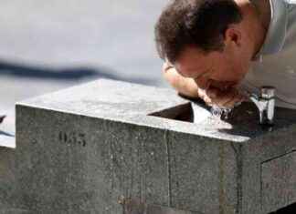 Bebida ultra hidratante imprescindible para el verano news-01082024-192107