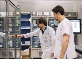 Escasez de medicamentos en hospitales: un problema para las farmacias – Superdeporte news-15082024-071516