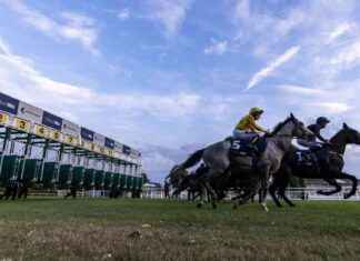 Carreras de caballos en Windsor, Yarmouth y Worcester hoy en Sky Sports Racing news-19082024-124813