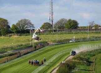Carreras de seis competencias en Brighton y Wolverhampton en Sky Sports Racing news-20082024-130010