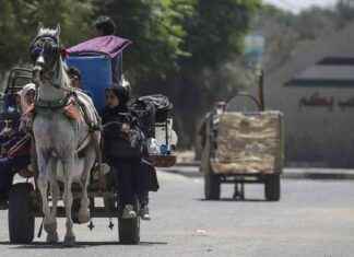 Conflictos en Oriente Próximo: Actualizaciones en vivo de la Guerra entre Israel y Gaza news-24082024-102806