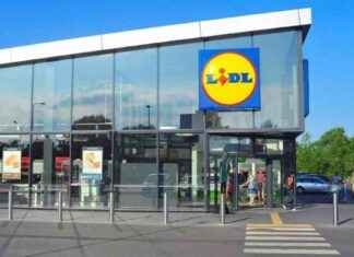 Producto revolucionario de Lidl para aliviar dolores de espalda: ¡Chollos y descuentos imperdibles! news-13092024-185502
