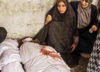 Tragedia en Gaza: Al menos 22 palestinos fallecidos en ataque a escuela news-21092024-225105