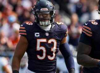 T.J. Edwards de Bears multado $16,883 por tackle que lesionó a Joe Mixon de Texans news-22092024-110123