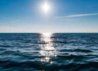 Origen del misterioso sonido en el fondo del Pacífico | Investigación revela su causa news-24092024-140806