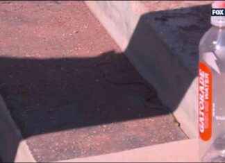 Los Dodgers encuentran una serpiente en su dugout durante el Juego 2 de la Serie de Campeonato de la Liga Nacional contra los Mets | MLB en FOX news-15102024-014832