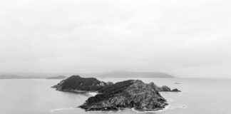 Alineaciones De Celta De Vigo Contra Valencia C. F. Alineaciones De Celta De Vigo Contra Valencia C. F.