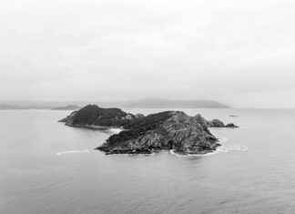 Alineaciones De Celta De Vigo Contra Valencia C. F. Alineaciones De Celta De Vigo Contra Valencia C. F.