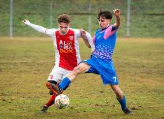 Alineaciones De Osasuna Contra Celta De Vigo Alineaciones De Osasuna Contra Celta De Vigo