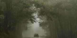 Celta De Vigo – Valencia C. F. Celta De Vigo - Valencia C. F.