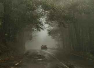 Celta De Vigo – Valencia C. F. Celta De Vigo - Valencia C. F.