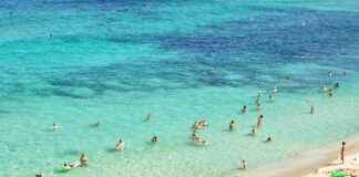 Cronología De R.C.D. Mallorca Contra Real Madrid Cronología De R.C.D. Mallorca Contra Real Madrid