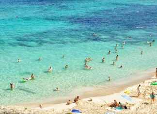 Cronología De R.C.D. Mallorca Contra Real Madrid Cronología De R.C.D. Mallorca Contra Real Madrid