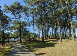 Estadísticas De Pontevedra C.F. Contra Getafe CF Estadísticas De Pontevedra C.F. Contra Getafe CF