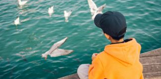 Alineaciones De FC Barcelona Contra Young Boys: ¿Quién Sorprenderá?