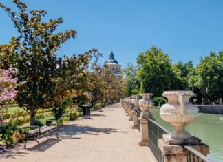 Alineaciones De R.C.D. Mallorca Contra Real Madrid: ¿Quién Sorprenderá?