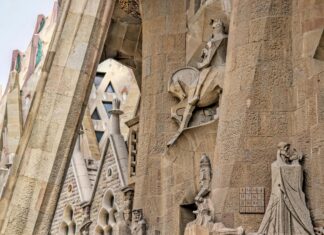 Alineaciones De RCD Espanyol De Barcelona Contra Real Sociedad: ¿Quién Sorprenderá?