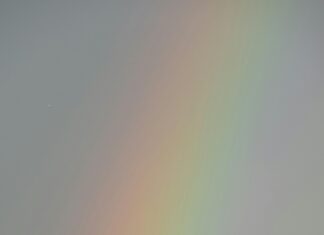 Alineaciones De U. D. Las Palmas Contra Real Valladolid: ¿Quién Sorprenderá?